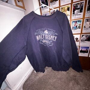 Walt Disney World Navy Sweatshirt